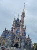 IMG_6306.jpeg