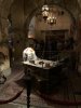 IMG_9112.jpeg