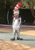 013CE83E-071F-41B6-9606-8111618C9326.jpeg
