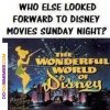 14e4f324e784f011a9d454d0edd24947--disney-cartoons-vhs-tapes.jpg