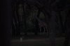 IMG_6408 smaller.JPG