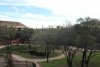 IMG_5586 smaller.JPG