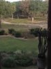 IMG_7078 smaller.JPG