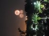 20211021_201526.jpg