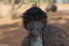 MungoDay4-87.jpg