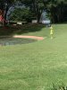 IMG_9131.jpeg