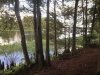 323E550C-7647-402B-BA2B-3ECC21647C44.jpeg