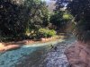 IMG_7441.jpeg
