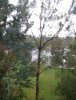 20211029_070239.jpg
