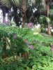 20211029_065908.jpg