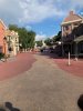IMG_8028.jpeg