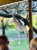 IMG_2877.jpeg