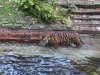IMG_2942.jpeg