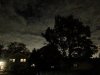 A80054F1-92C6-479E-89BA-7E9DBFE2ABC9.jpeg