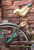 IMG_1843_20111213e2.jpg