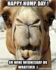 233B07B4-858C-4494-9B24-E2E75390249F.jpeg