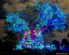 D811D63C-3F65-4096-854D-090E9E2EA90F.png