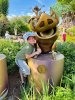 IMG_2986.jpeg
