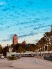 IMG_3008.jpeg