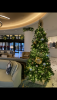 D2320346-4F2B-4DDA-86A9-34AA0F77A9B5.png