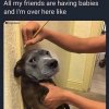 4475AF98-3BA8-4CA9-8EF4-E2E8E0C563DB.jpeg