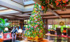 D779D94A-1DA4-459C-858B-F4A87EFB9AD0.png