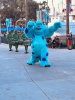 IMG_3104.jpeg