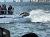 52C55182-CC37-4F32-8719-06AC545C11E6.jpeg