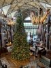 02A0DEC4-CCD9-4FA9-BFE7-87E15BE35417.jpeg