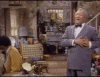 CommonLinedDouglasfirbarkbeetle-max-1mb.gif