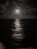IMG_4706.jpeg
