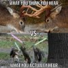 FB_IMG_1638020178731.jpg