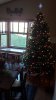 tree 9'.jpg
