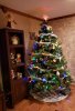 small tree.jpg