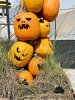 BD953D0D-9B19-42E5-8D3B-EF3117CE4AB8.jpeg
