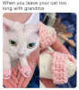 627495