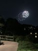 IMG_9251.jpeg