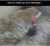 20211208_093839.png