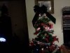 2011ChristmasTreeTop.jpg