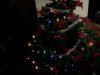 2011ChristmasTreeMiddle.jpg