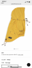 978F2ECC-A9FB-46EA-BA9C-9D2BFEDB7777.png