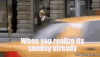 0C88855B-C4BB-43BC-ADAD-DE67EEAD7B9D.gif