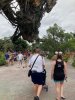 IMG_8048.jpeg