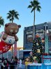 IMG_Dec122021at12945PM.jpg