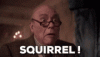 squirrel xmas.gif