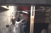 1593FEE2-E5A2-452D-8B35-3D8633A2556C.gif