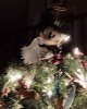 IMG_20211217_181731628.jpg