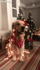 7254E5B0-A28C-48E5-8993-FB2A45DB4C27.gif