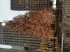 20211219_074313.jpg
