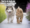20211223_161850.png